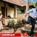 സെൻസസ് ഡ്യൂട്ടിക്ക് എത്തിയ രണ്ട് ഉദ്യോഗസ്ഥരെ പട്ടി കടിച്ചു