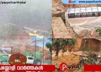 എത്ര പേർ മണ്ണിനടിയിൽപ്പെട്ടുവെന്ന് അറിയില്ല, തൊഴിലാളികള്‍ വന്ന അടക്കം വാഹനങ്ങൾ കുടുങ്ങി കിടക്കുന്നു’; വയനാട് മണ്ണിടിച്ചിൽ ഞെട്ടലിൽ നാട്ടുകാർ