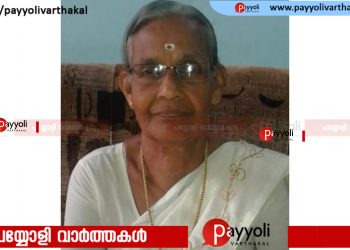 വിയ്യൂർ മഠത്തിൽ ശാരദ അമ്മ (മന്നത്ത് -പനായി) അന്തരിച്ചു