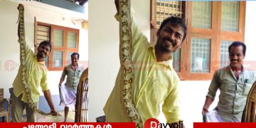 ഇരതേടി കോഴിക്കൂട്ടിൽ: മുയിപ്പോത്ത് വീട്ടിൽ നിന്ന് പെരും പാമ്പിനെ പിടികൂടി
