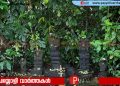 ജൈവവൈവിധ്യം സംരക്ഷണവും വര്‍ധനവും: കാവുകള്‍ക്ക് ധനസഹായം | അപേക്ഷ ക്ഷണിച്ചു