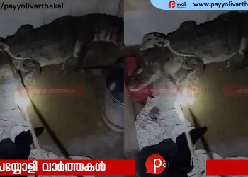 പ്രളയജലത്തിൽ നിന്ന് രക്ഷപ്പെടാൻ കുളിമുറിയിൽ കയറിയ വീട്ടുകാർ ഭയന്നോടി; മുന്നിൽ ഭീമൻ മുതല