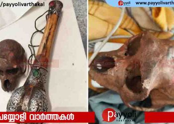 ദില്ലി വിമാനത്താവളത്തിൽ യാത്രക്കാരന്റെ ഹാൻഡ് ബാഗിൽ ഒളിപ്പിച്ച നിലയിൽ തലയോട്ടി കണ്ടെത്തി