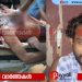 സഹോദരങ്ങൾ തമ്മിലുള്ള തർക്കം കത്രിക കൊണ്ടുള്ള കുത്തിൽ കലാശിച്ചു: നെഞ്ചത്ത് കുത്തേറ്റ യുവാവിന് ഗുരുതര പരുക്ക്