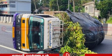 പയ്യോളിയിൽ വാഴക്കുലകളുമായി പോവുകയായിരുന്ന ലോറി മറിഞ്ഞു