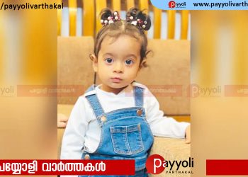 പിതാവ് കാർ പിന്നോട്ടെടുക്കുന്നതിനിടെ കാറിനടിയിൽപെട്ട് ഒന്നരവയസ്സുകാരിക്ക് ദാരുണാന്ത്യം