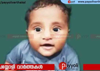 എട്ടുമാസം പ്രായമുള്ള കുഞ്ഞുമായി അമ്മ കിണറ്റില്‍ ചാടി; കുഞ്ഞിന് ജീവൻ നഷ്ടമായി