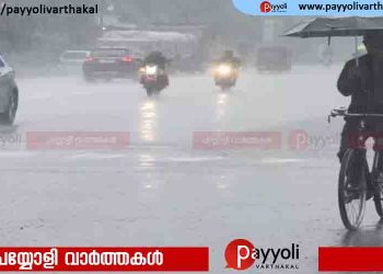 കോഴിക്കോട് മലയോര മേഖലയിൽ കനത്ത മഴ; തിരുവമ്പാടി ടൗണിൽ വെള്ളം കയറി