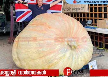 ഒരു വെള്ളാനയേക്കാൾ ഭാരമുള്ള കൂറ്റൻ മത്തങ്ങ; പുതിയ ലോക റെക്കോർഡ് സ്വന്തമാക്കി ബ്രിട്ടീഷ് കർഷകൻ
